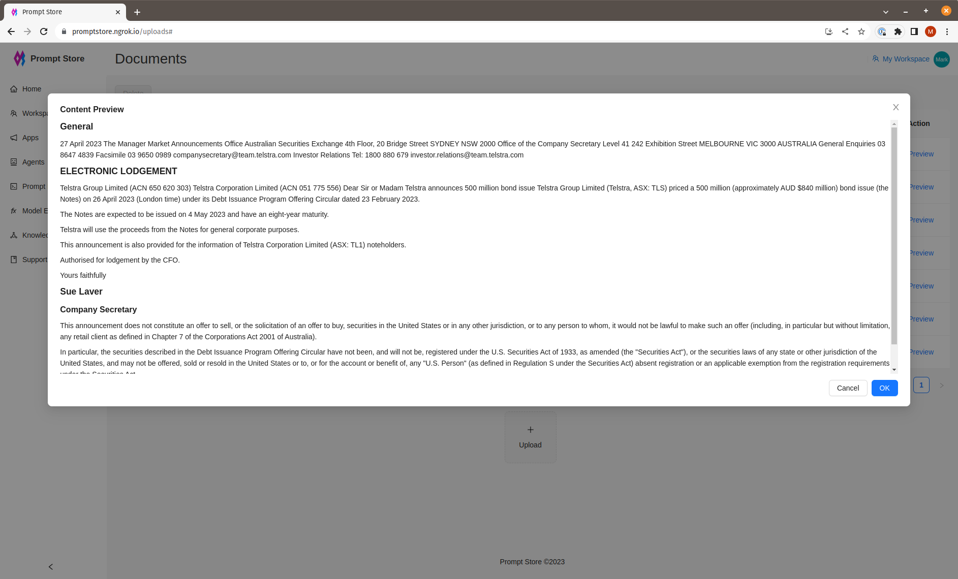 Document Preview